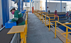 impala terminals our global network lam mexico